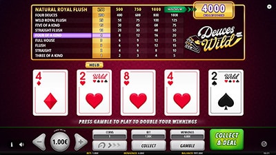 Screenshot of Deuces Wild Online Video Poker